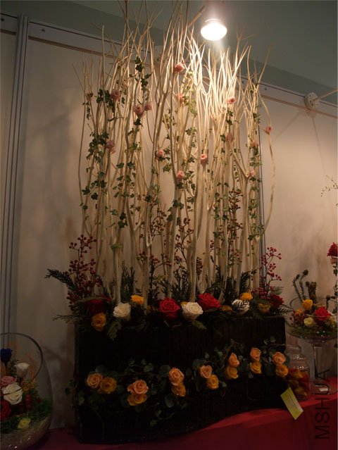 DSCF0087.JPG