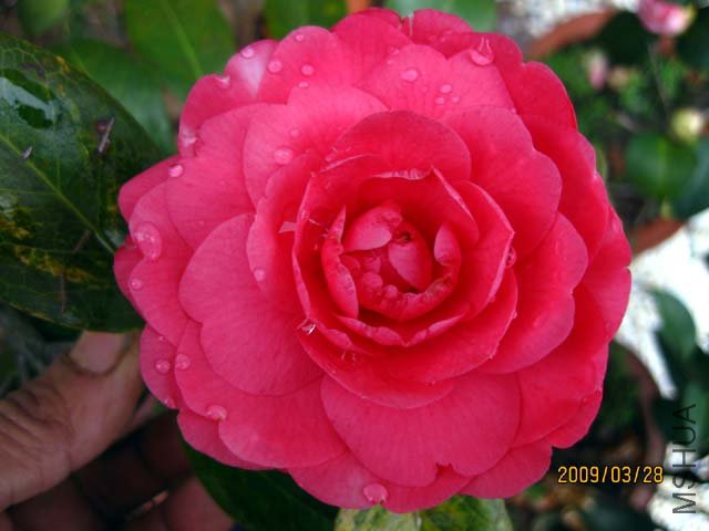 ��������Ǻ�18����ǩ�������꿴�������