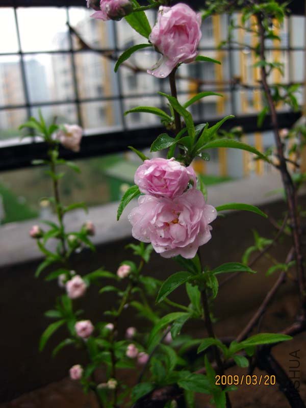 ���������Ҷ÷����Ȼ���ǣ�����˵����Ҷ��о�������