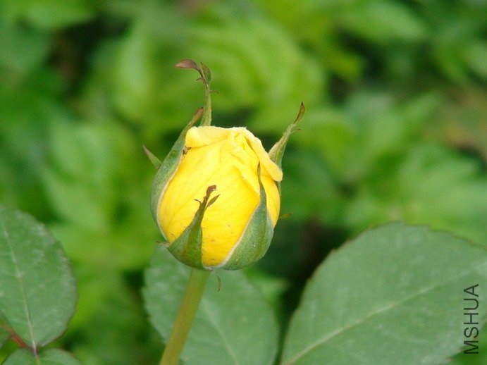 090403-844.jpg