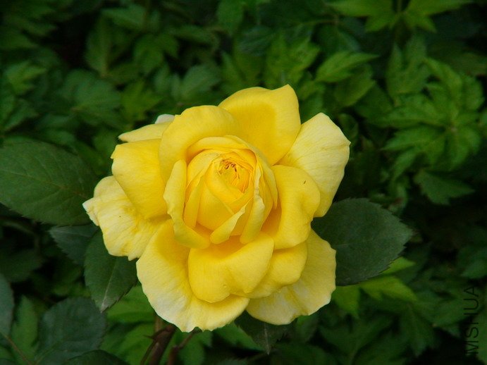 090406-952.jpg