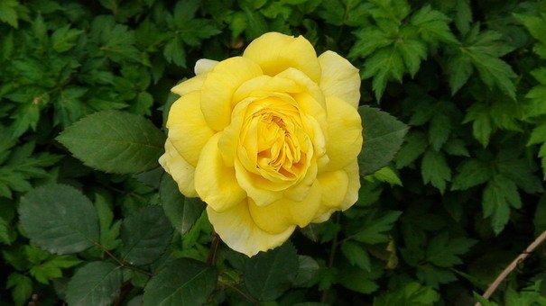 090406-954.jpg