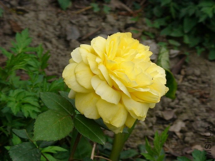090408-963.jpg