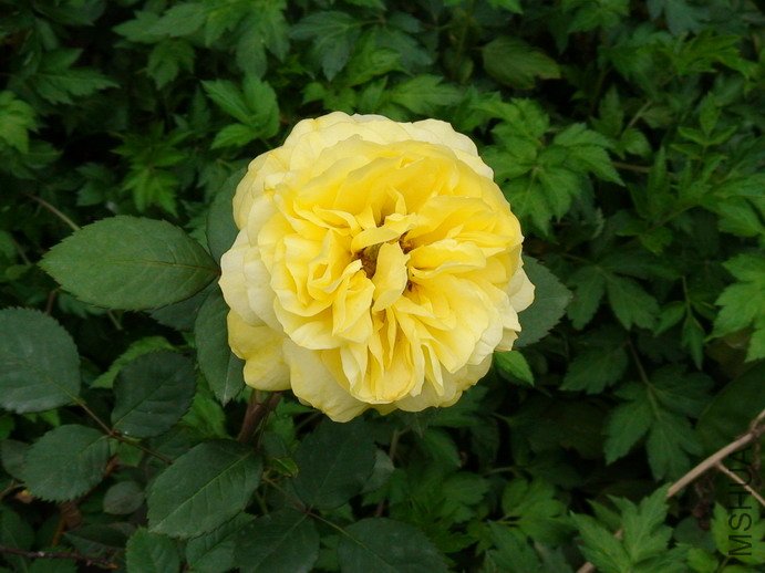 090408-965.jpg