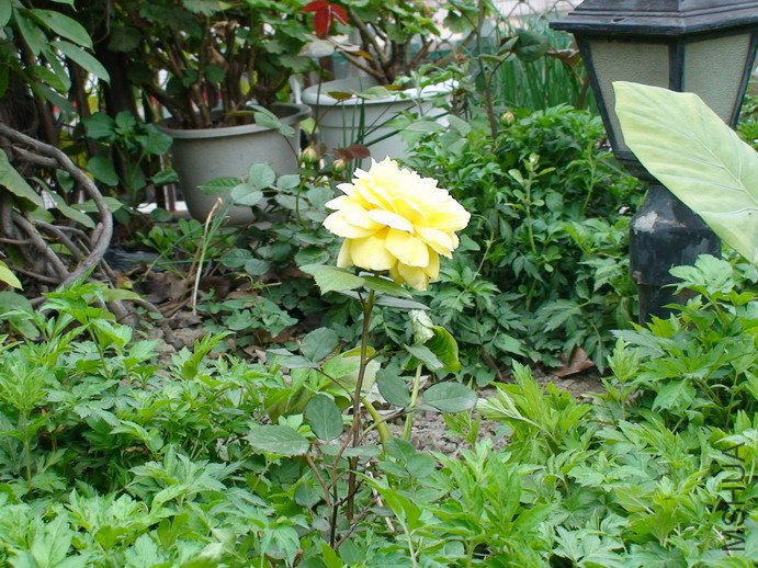 090408-977.jpg