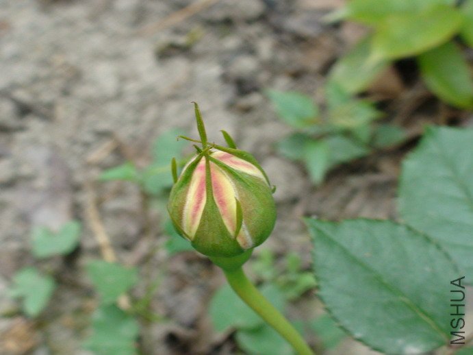 090408_973.jpg
