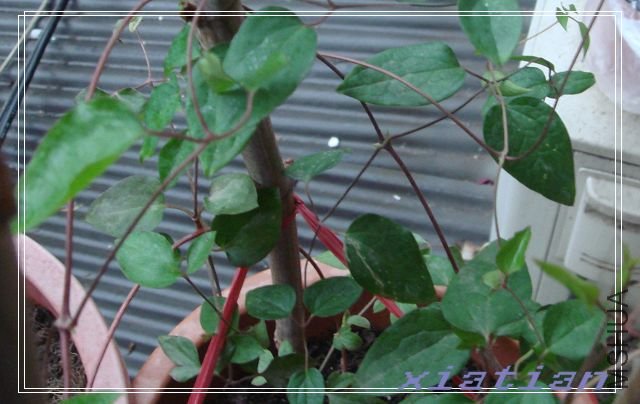 4��5�� �����ȹ���.jpg