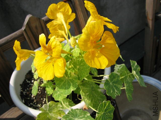 ��Ƭ090409 004.jpg