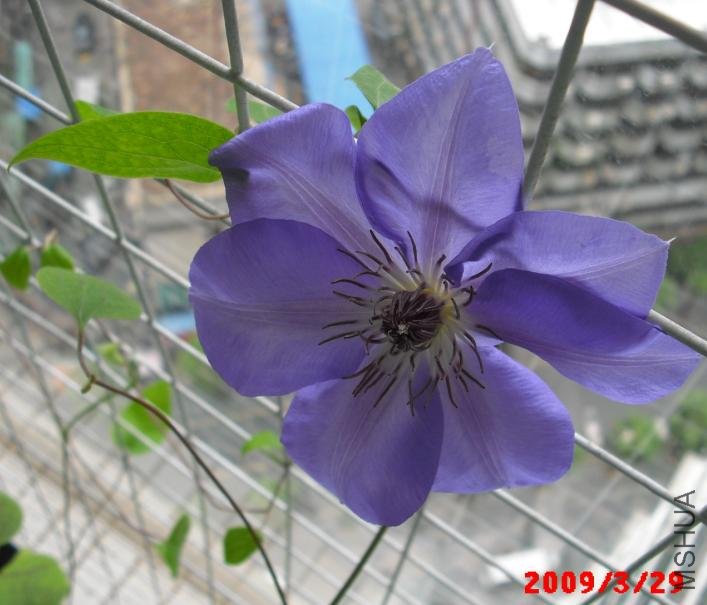 ���ǵڶ�����Ī�ȣ��������Ѿ��л����ˡ�