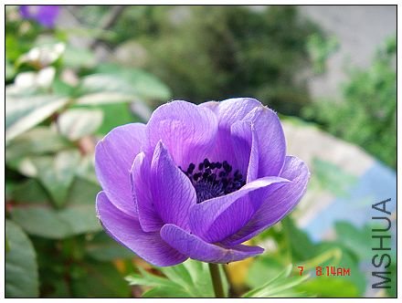 ��һ������