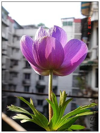 �����е�����