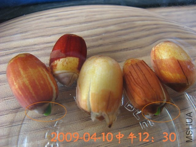 ��������ѿ�Ѿ�������ˣ���