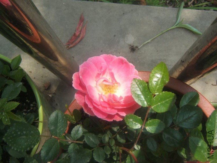 DSCF5239.JPG