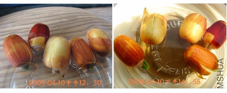 �̶�����Сʱʱ�䣬��Ȼ������ô�࣡