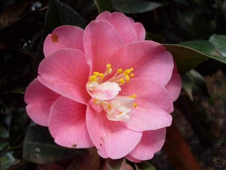 ������1 (1).jpg