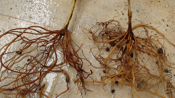 ��дһ�£������ʹ�������кܶ�������ҵĽ������Ͷ̶��֡�