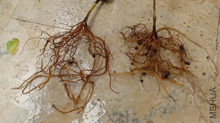 �����������������ʹ�������Ҹռĸ���Ľ������ң��ĸ�ϵ�Ա�