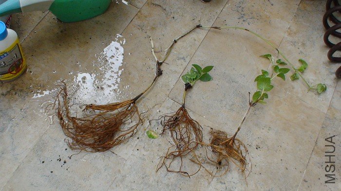 ����һ�ý���Ҳ�ڳ������Աȣ������Ҹ�ϵ������õ�һ��Ǥ���磬����Ϳ��������������Ǹ������Ĵ��ѿ���� ...