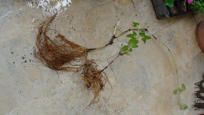 ���Լ��ģ�һ��һ����ý����ĶԱȡ�