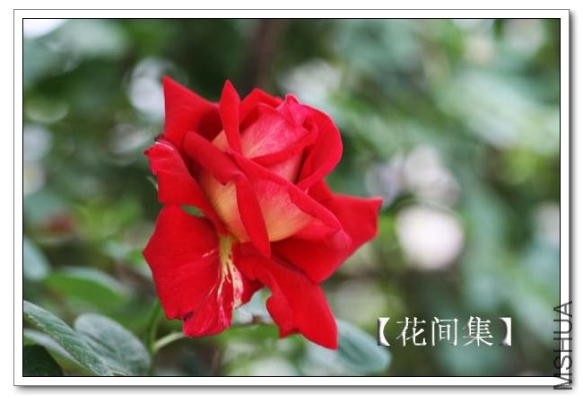 IMG_3784 ����.jpg