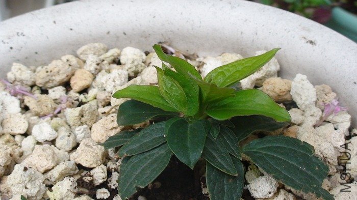 3-30���������������¶�ѿ����д��