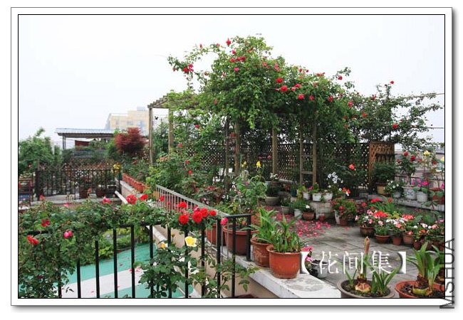 IMG_4979 ����.jpg