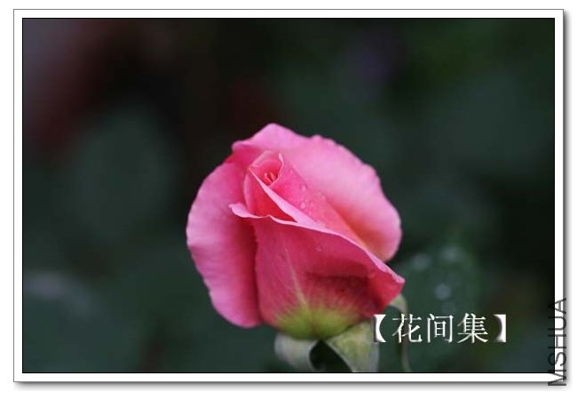 IMG_3887 ����.jpg