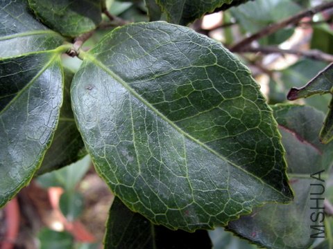 ���Ұ�æ�����ǲ��������Ϲ��Ҷ�ӣ���û�п������ġ�