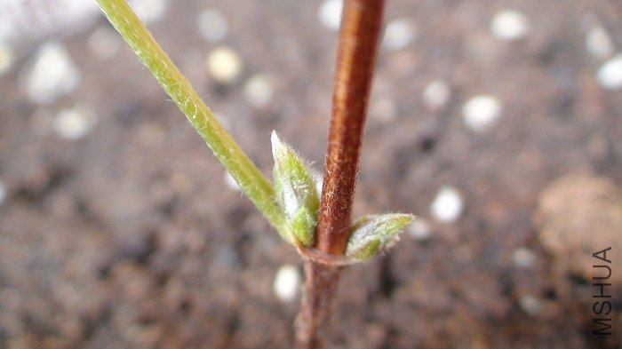 3-18�վ��Ѿ������˱�����Ҹѿ����