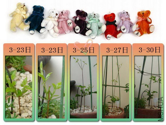 3-21����3-30�գ������10������20��������仯��