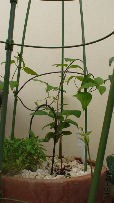 4-2�գ��̹���Ϳ�ʼ������һЩ�ˡ�