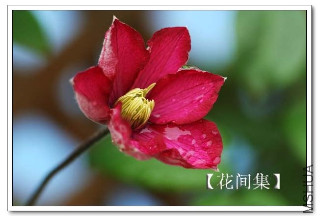 IMG_3907 ����.jpg