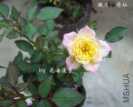 100_1116.jpg