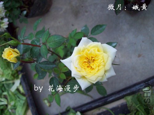 100_1120.jpg