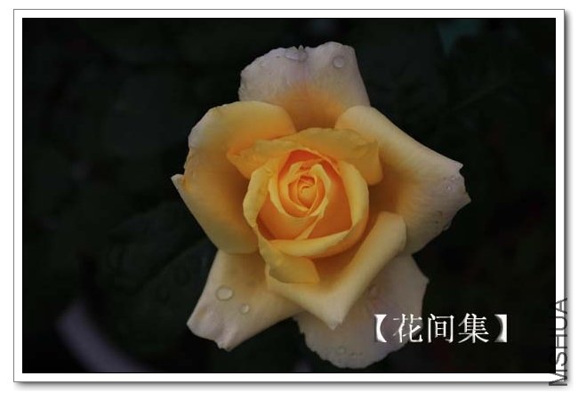 IMG_4980 ����.jpg