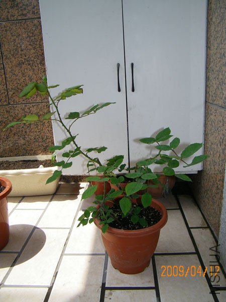 100_0125.JPG