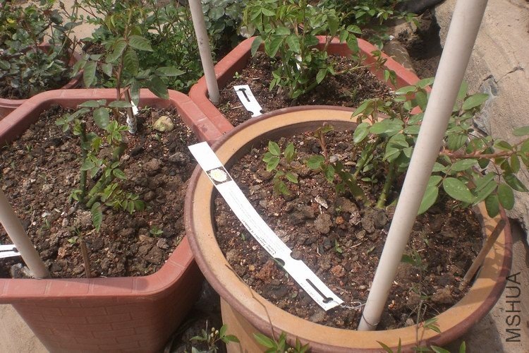 Ŀǰ����״����