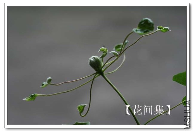 IMG_3964 ����.jpg