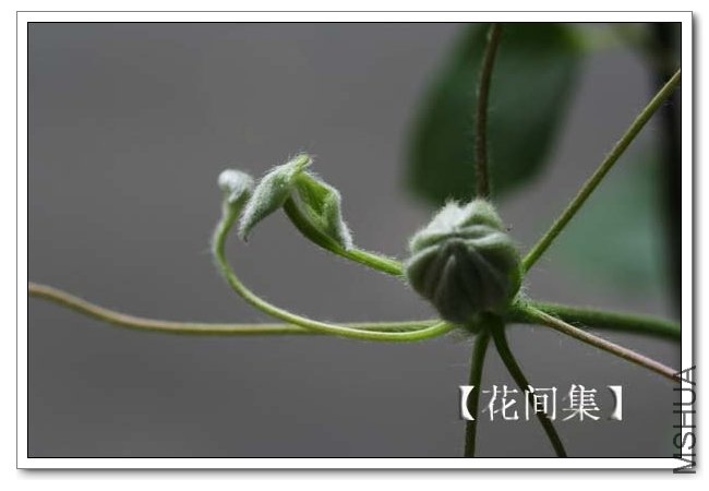 IMG_3965 ����.jpg