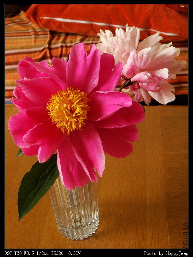 20090411 ��ҩ�л�.jpg