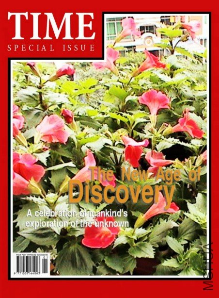 ʢ���ĺ���,Խ��Խ����ڷ����40CM��