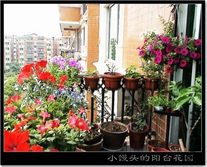 ��̨��һ��,��ϧ�Ĳ���ȫ��������