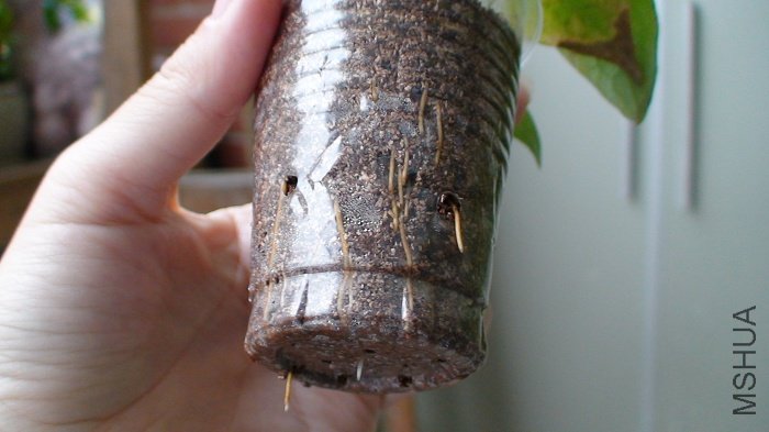 ���Ǳ����ϵĸ�ϵ, 3-11��Ǥ����������һ����, �Ѿ�������ô���, �����ӱ���͸�˳���!