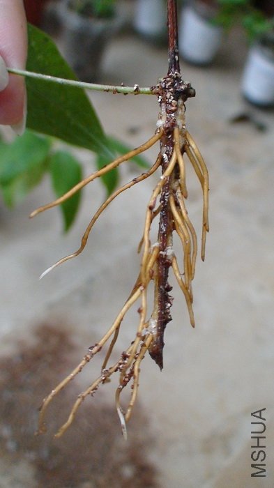 ����ŵڶ�!