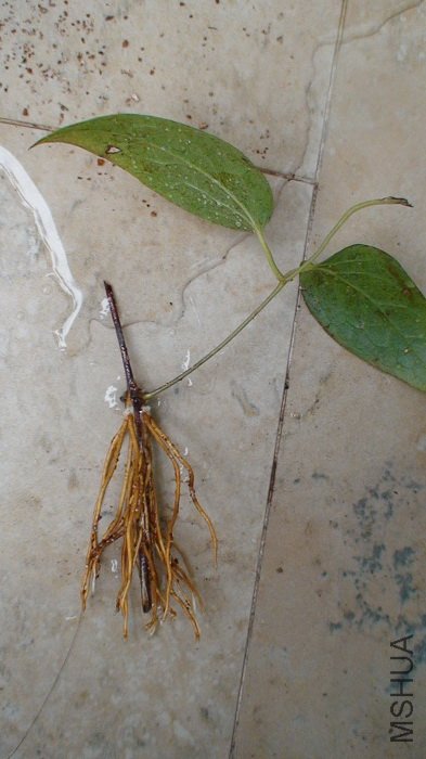 ���Ǹ�ϵ��õ�һ��!