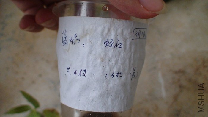 ���ǵ�ʱ�ı�ǩ, ��ȫ����������ס��! ��ÿ�β鿴�����ڿ���û����ǩ����һ��!����������������ĵط�����!