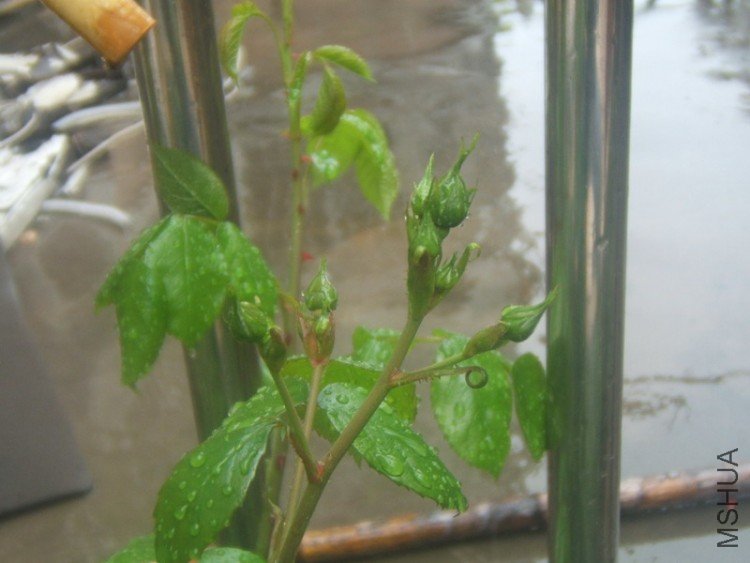 DSCF5289.JPG