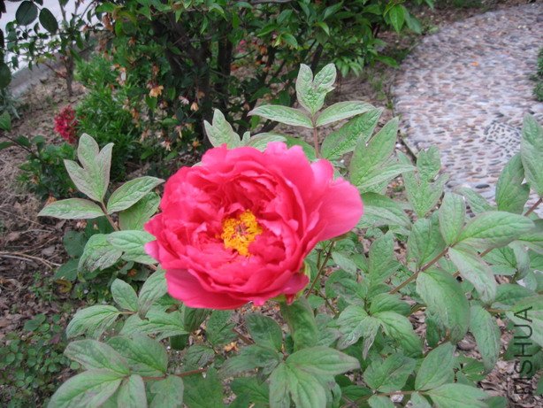 ��Ƭ 018_��С��С.jpg