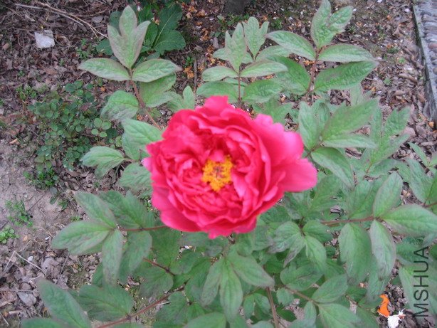 ��Ƭ 020_��С��С.jpg