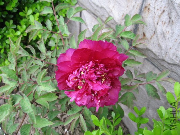 ��Ƭ 021_��С��С.jpg